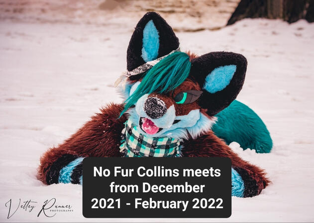 DECEMBER 2021 - FEBRUARY 2022
