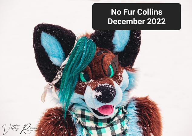 DECEMBER 2022