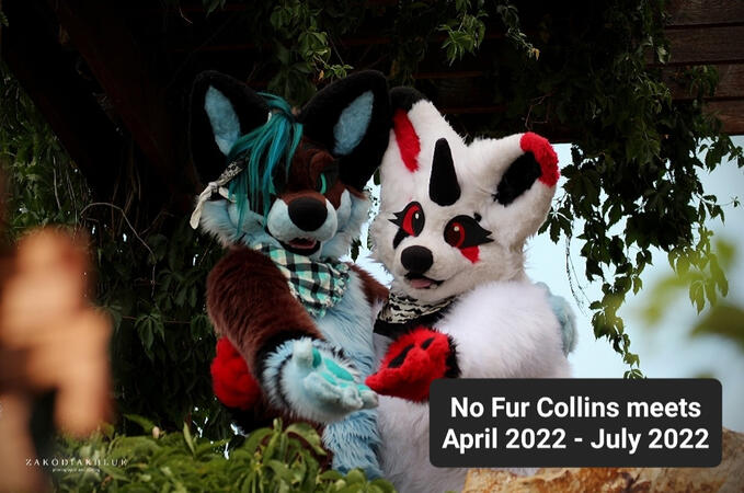 APRIL 2022 - JULY 2022