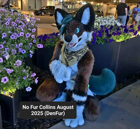 AUGUST 2025 AUGUST 2025